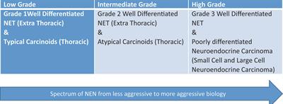 Management of Large Cell Neuroendocrine Carcinoma